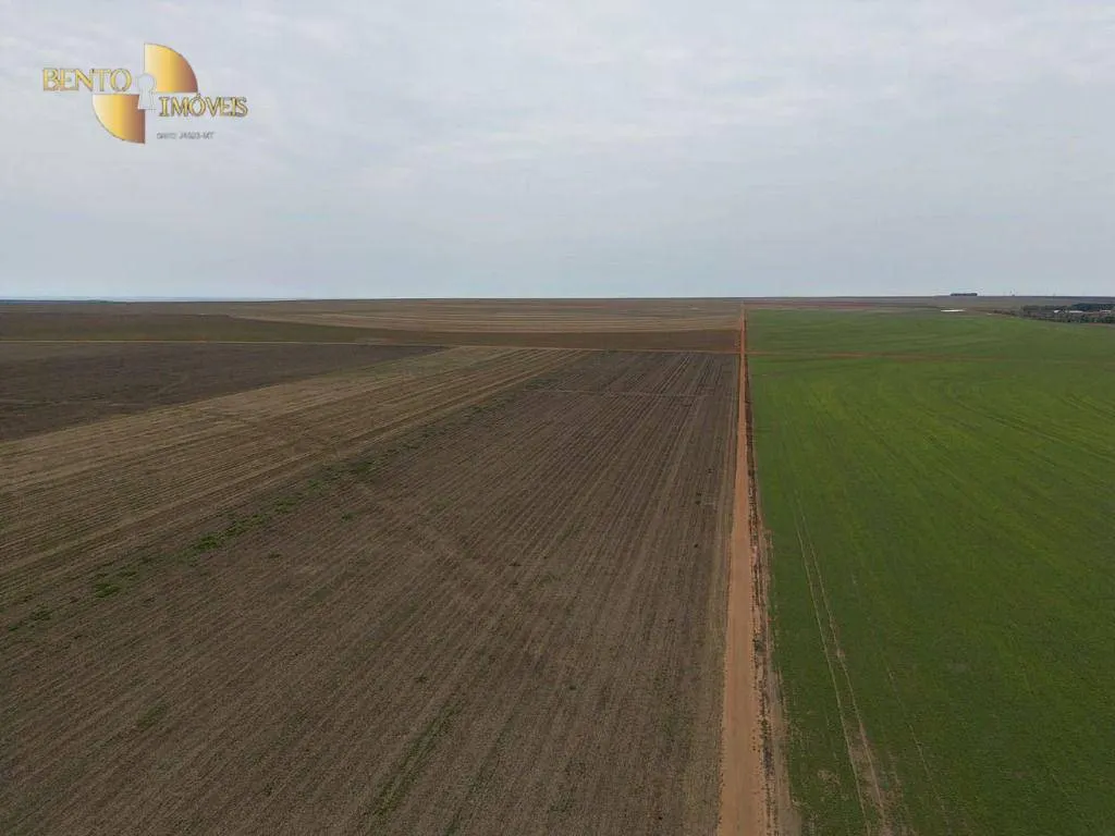 Fazenda à venda de 242 ha em Jangada, MT, Brasil