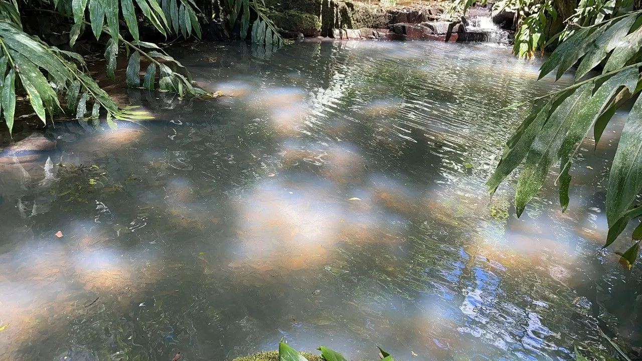 Chácara à venda de 2 ha em Santo Antônio da Patrulha, RS, Brasil