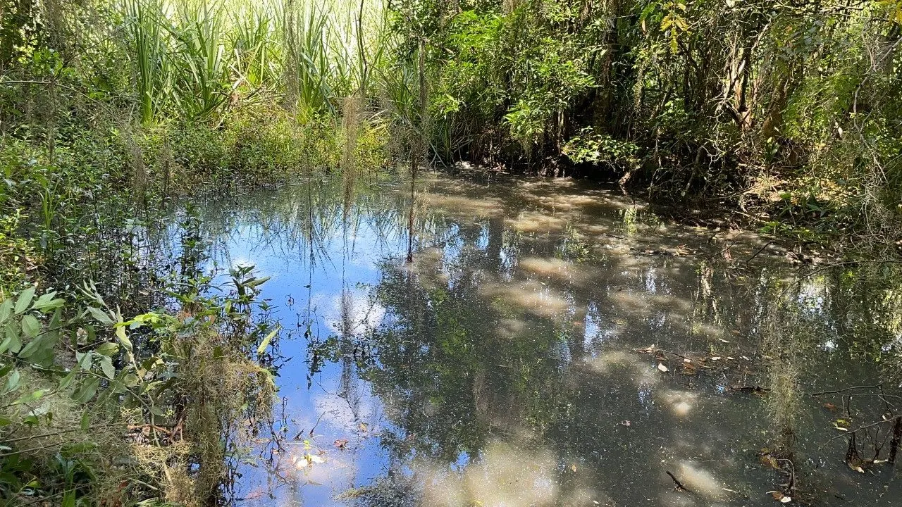 Chácara à venda de 2 ha em Santo Antônio da Patrulha, RS, Brasil