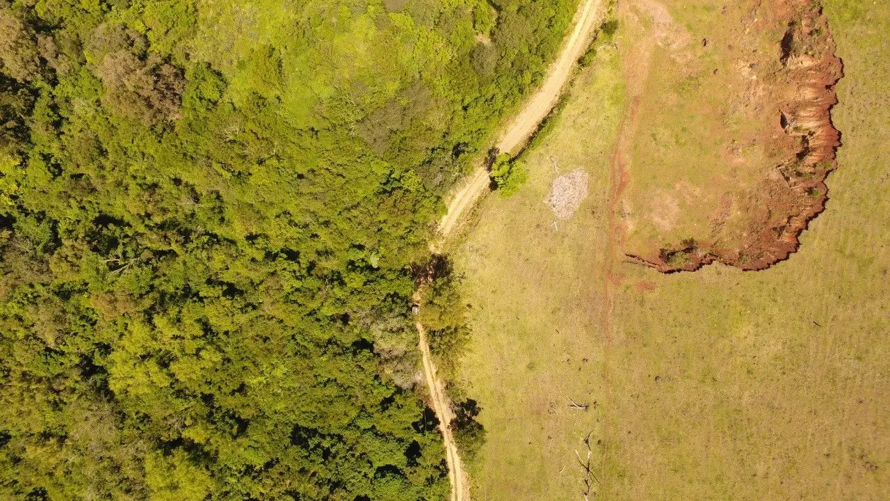Chácara à venda de 2 ha em Santo Antônio da Patrulha, RS, Brasil