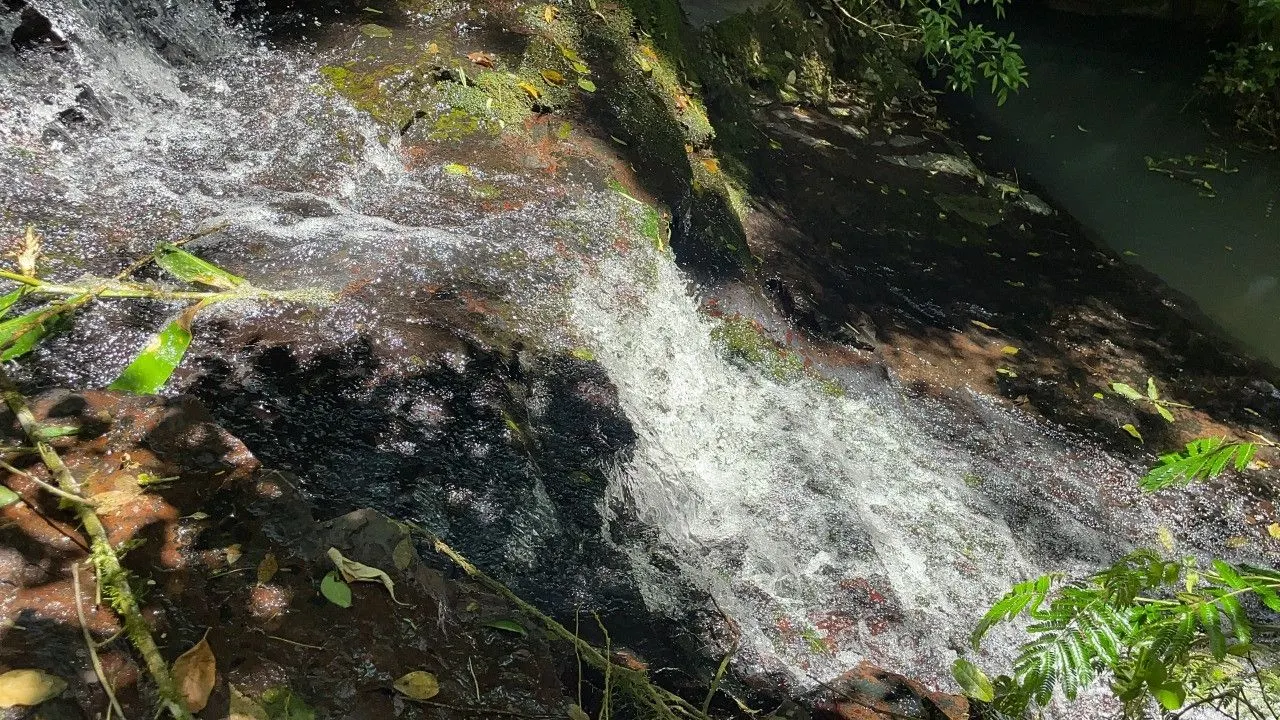 Chácara à venda de 2 ha em Santo Antônio da Patrulha, RS, Brasil