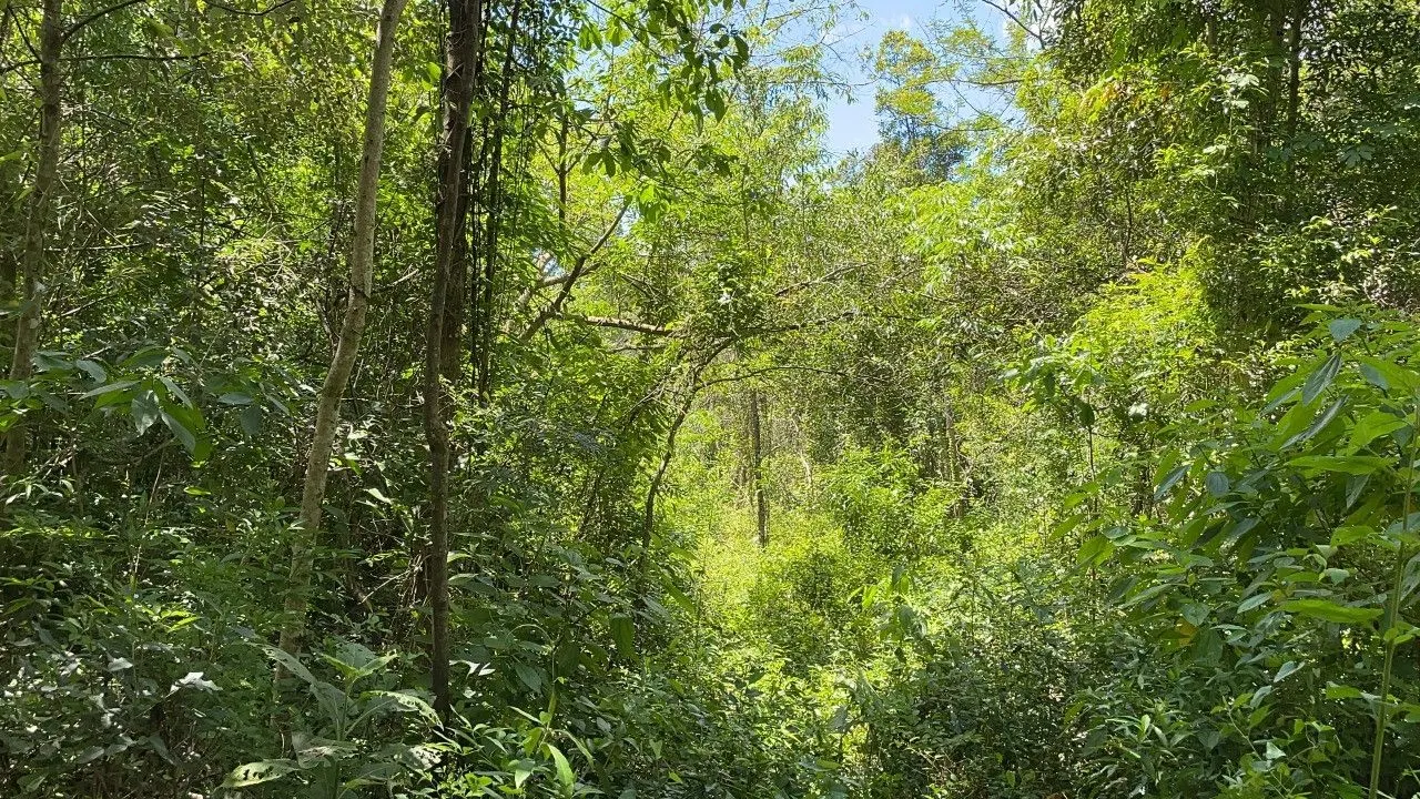 Chácara à venda de 2 ha em Santo Antônio da Patrulha, RS, Brasil