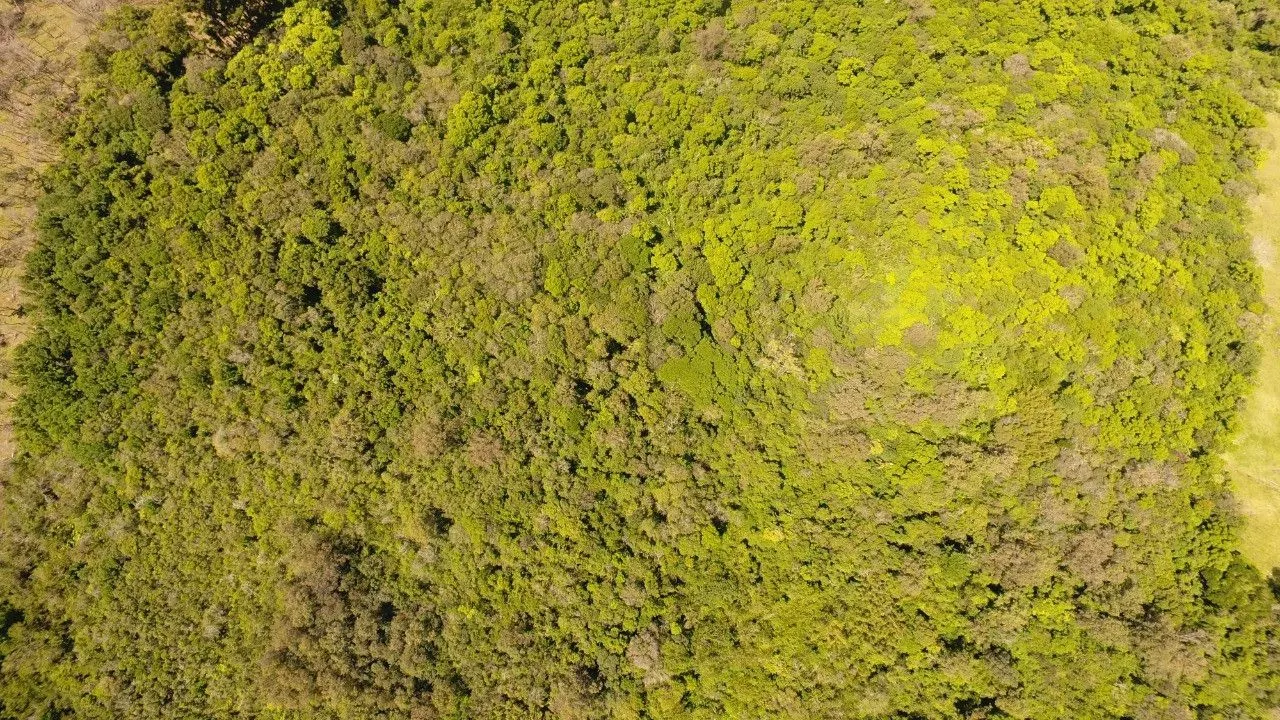 Chácara à venda de 2 ha em Santo Antônio da Patrulha, RS, Brasil