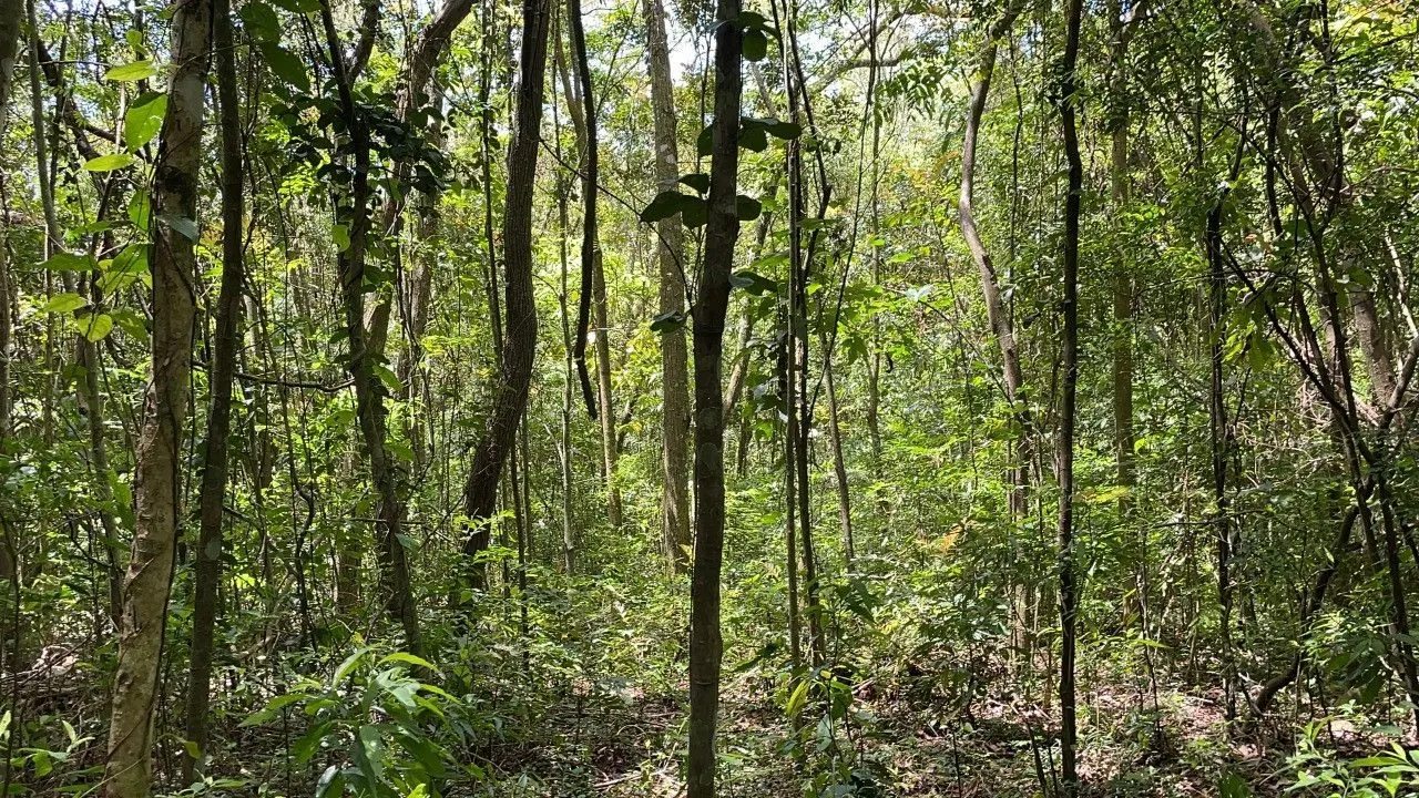 Chácara à venda de 2 ha em Santo Antônio da Patrulha, RS, Brasil