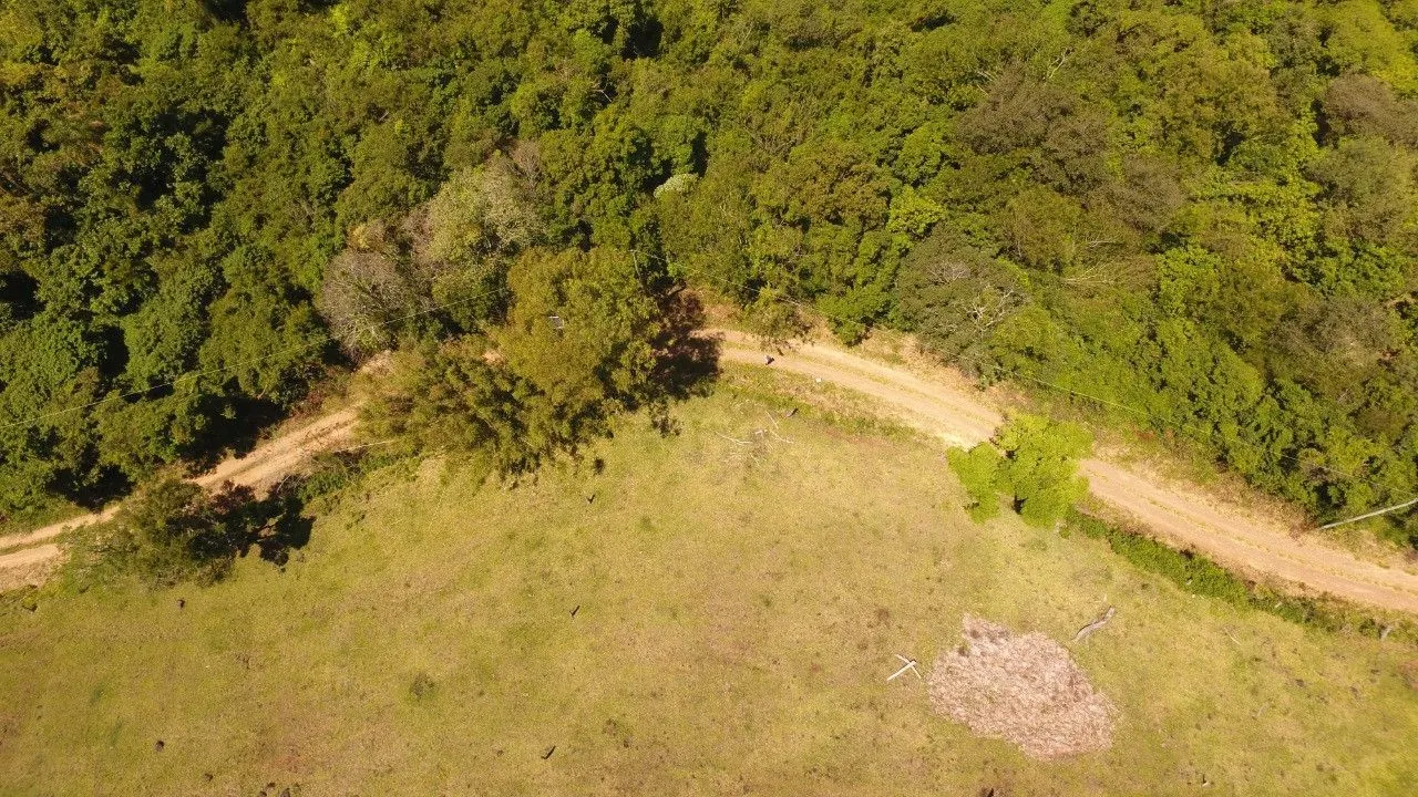 Chácara à venda de 2 ha em Santo Antônio da Patrulha, RS, Brasil