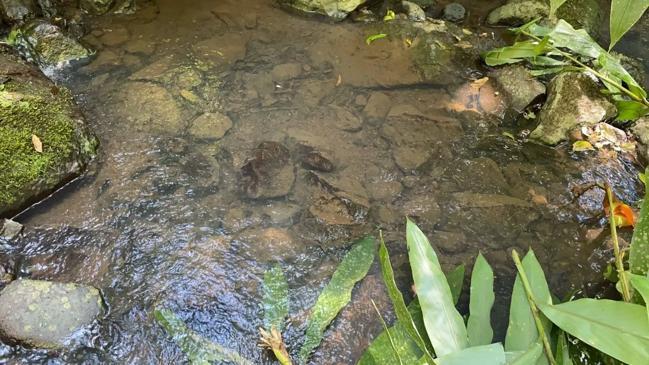 Chácara à venda de 2 ha em Santo Antônio da Patrulha, RS, Brasil