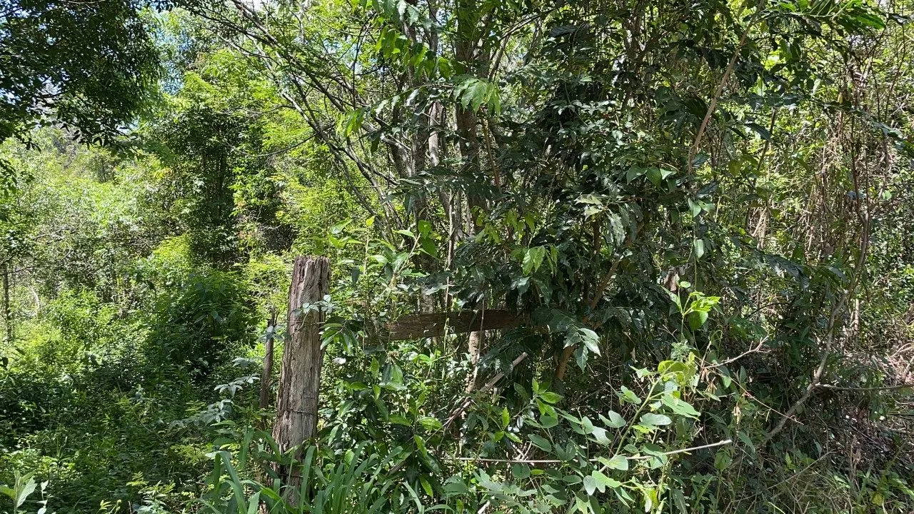 Chácara à venda de 2 ha em Santo Antônio da Patrulha, RS, Brasil