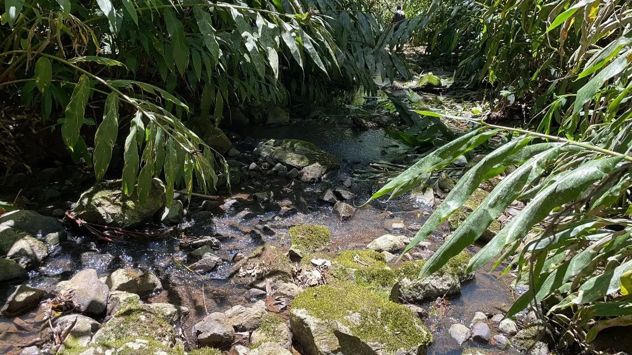 Chácara à venda de 2 ha em Santo Antônio da Patrulha, RS, Brasil