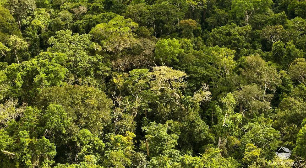 Farm for sale of 170,849 acres in Beruri, AM, Brazil