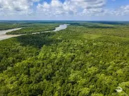 Farm for sale of 170,849 acres in Beruri, AM, Brazil