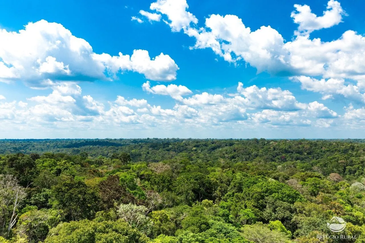 Farm for sale of 170,849 acres in Beruri, AM, Brazil