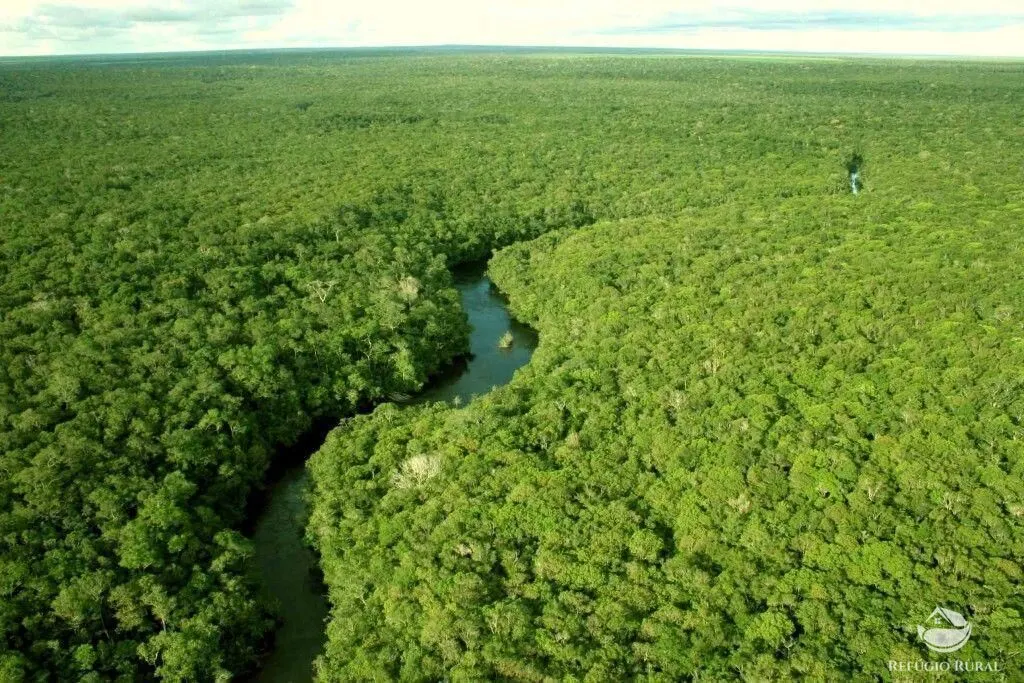 Farm for sale of 170,849 acres in Beruri, AM, Brazil