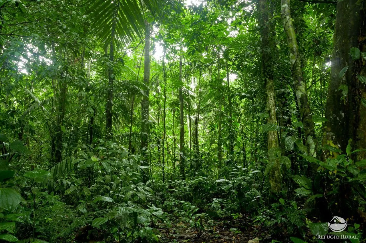 Farm for sale of 170,849 acres in Beruri, AM, Brazil