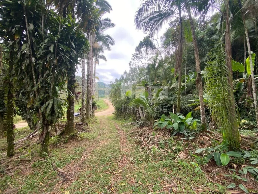 Farm for sale of 46 acres in Nova Trento, SC, Brazil