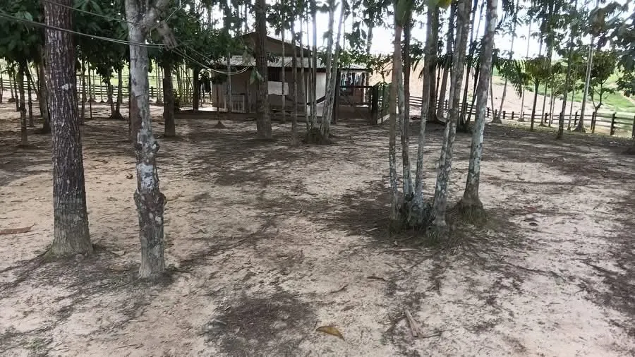 Fazenda à venda e para Arrendar de 1.750 ha em Lábrea, AM, Brasil