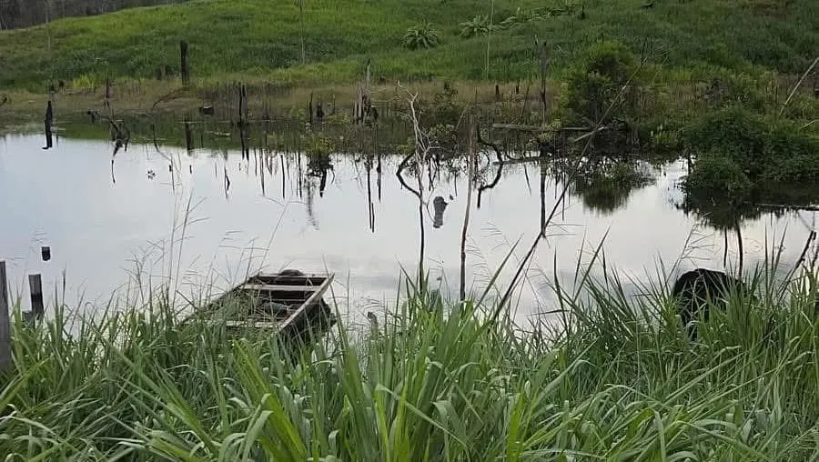 Fazenda à venda e para Arrendar de 1.750 ha em Lábrea, AM, Brasil