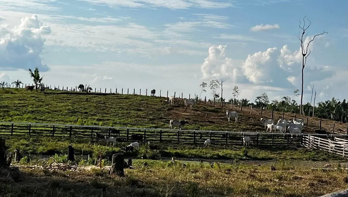 Fazenda à venda e para Arrendar de 1.750 ha em Lábrea, AM, Brasil