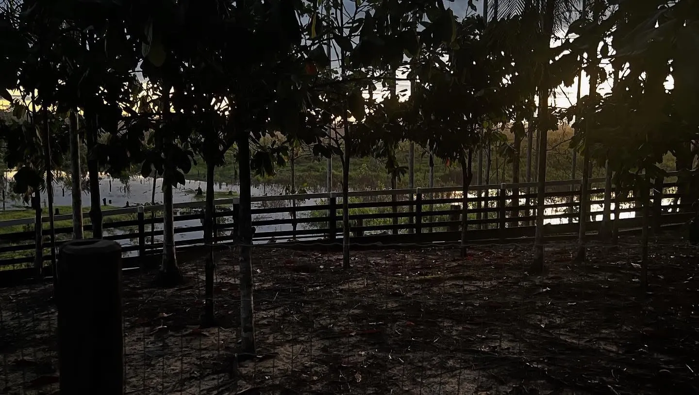 Fazenda à venda e para Arrendar de 1.750 ha em Lábrea, AM, Brasil