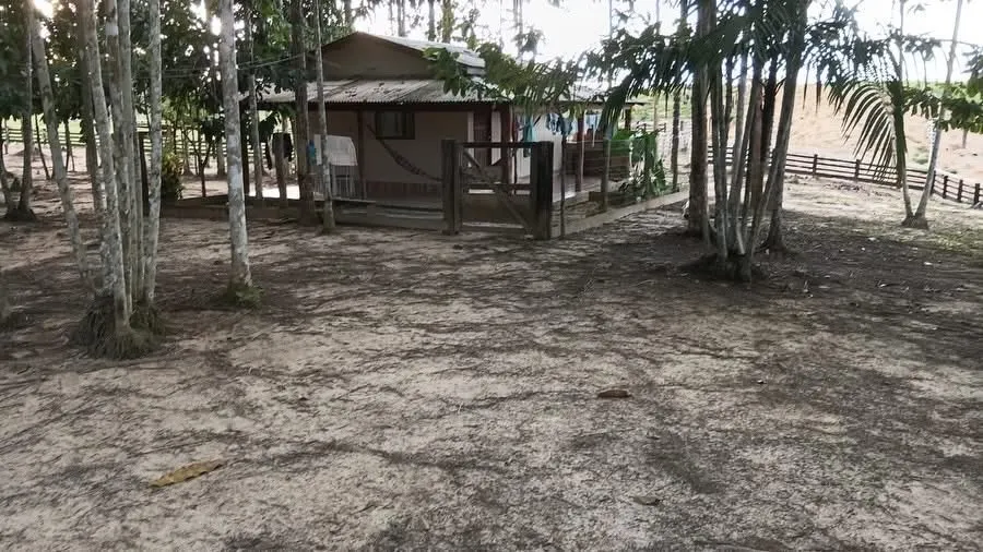 Fazenda à venda e para Arrendar de 1.750 ha em Lábrea, AM, Brasil