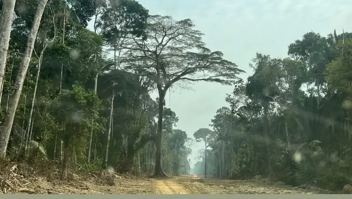 Fazenda à venda e para Arrendar de 1.750 ha em Lábrea, AM, Brasil