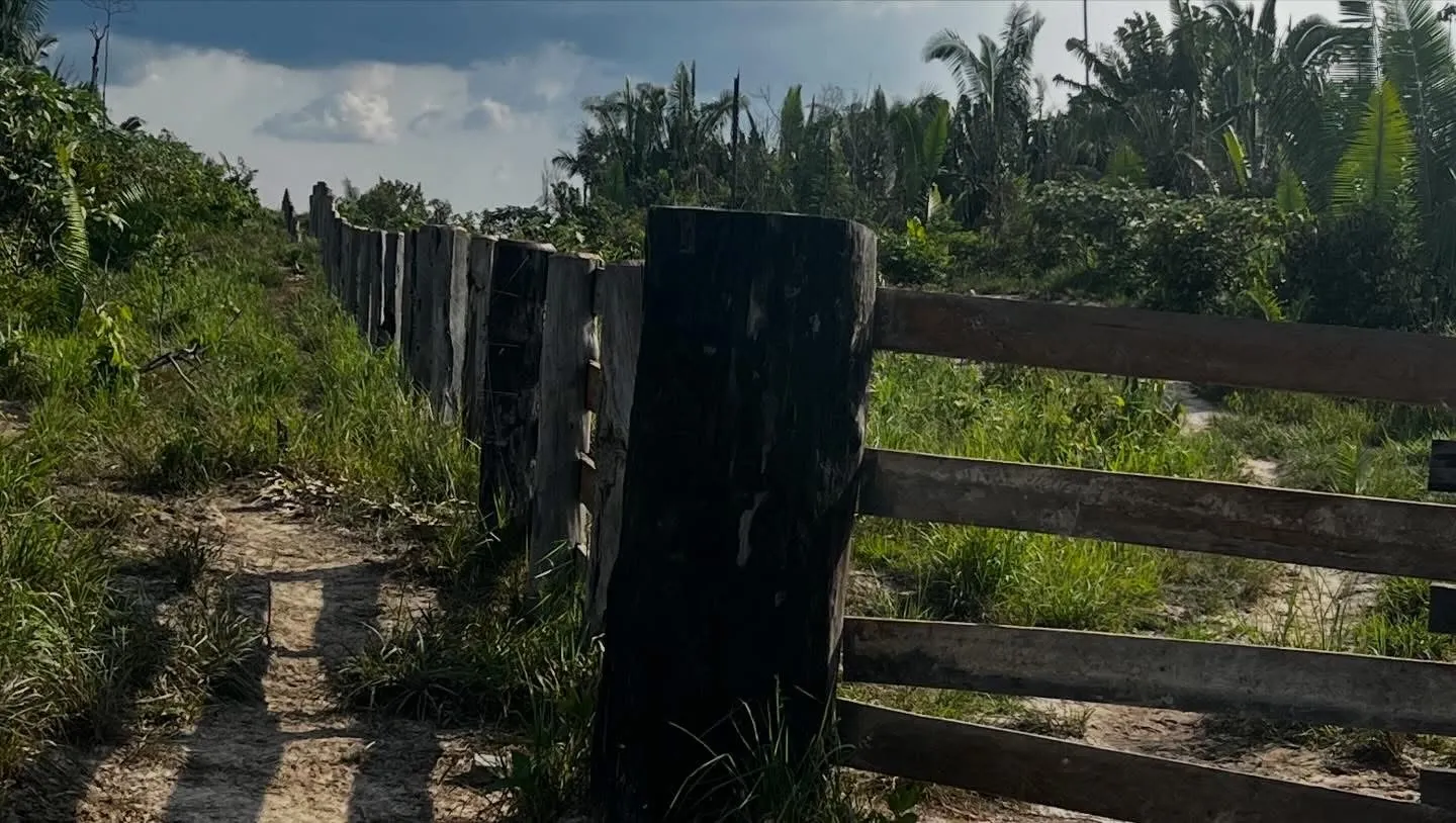 Fazenda à venda e para Arrendar de 1.750 ha em Lábrea, AM, Brasil