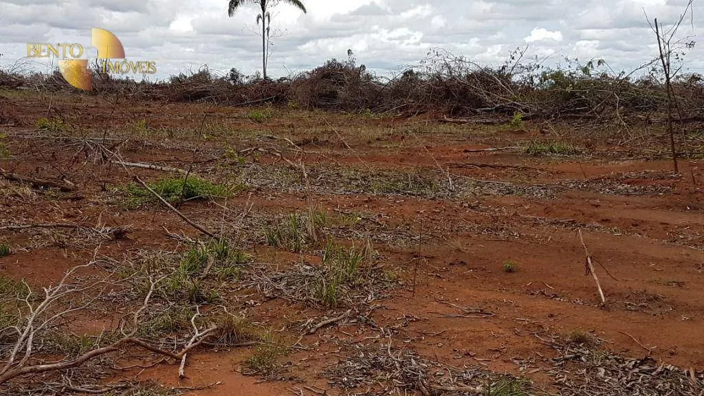 Fazenda à venda de 2.095 ha em Nova Mutum, MT, Brasil