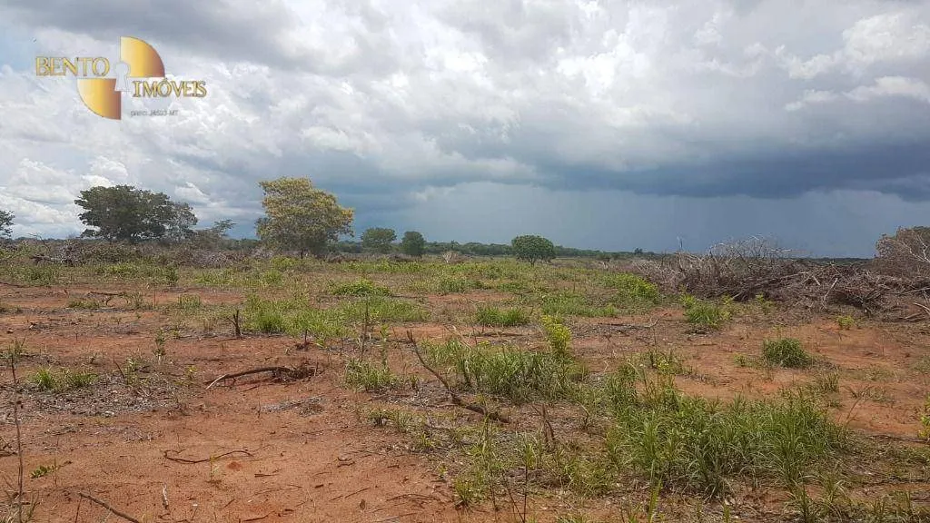Fazenda à venda de 2.095 ha em Nova Mutum, MT, Brasil