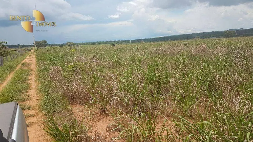 Fazenda à venda de 2.095 ha em Nova Mutum, MT, Brasil