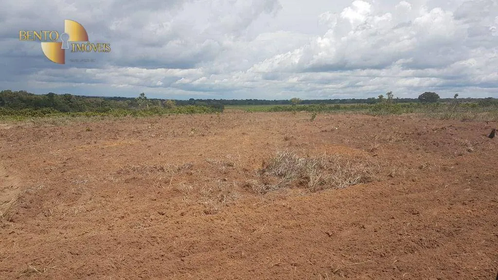 Fazenda à venda de 2.095 ha em Nova Mutum, MT, Brasil
