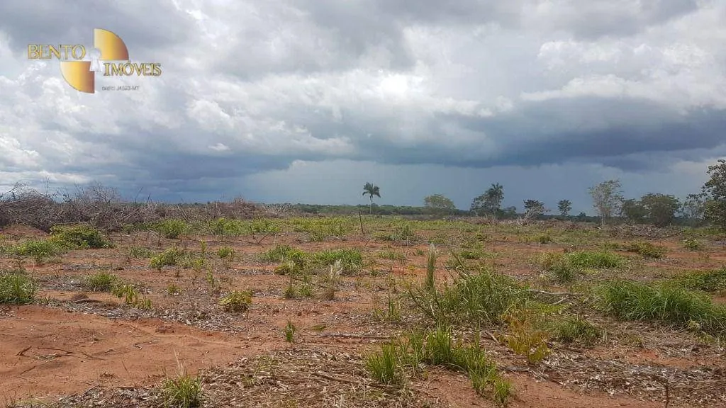 Fazenda à venda de 2.095 ha em Nova Mutum, MT, Brasil