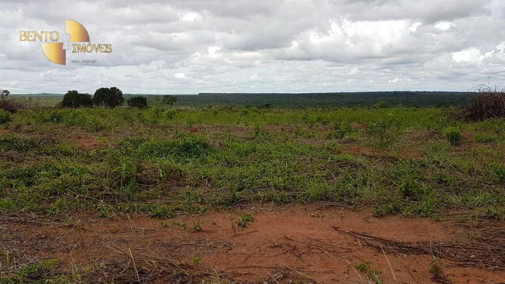 Fazenda à venda de 2.095 ha em Nova Mutum, MT, Brasil