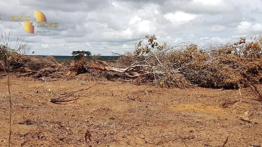 Fazenda à venda de 2.095 ha em Nova Mutum, MT, Brasil