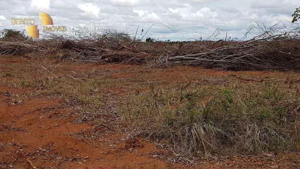 Fazenda à venda de 2.095 ha em Nova Mutum, MT, Brasil