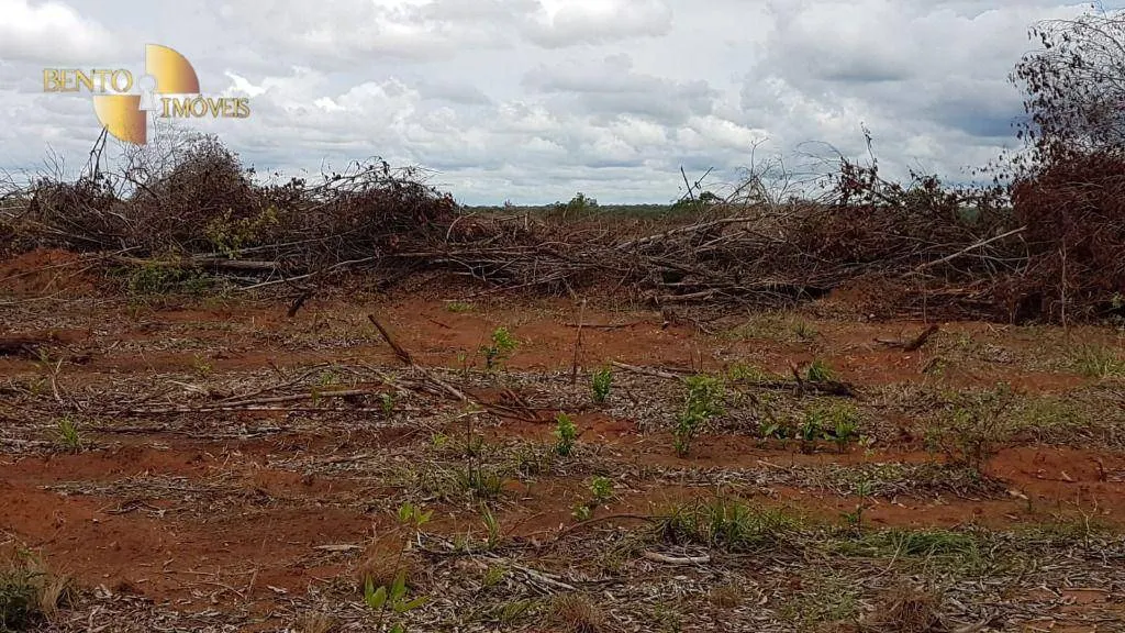 Fazenda à venda de 2.095 ha em Nova Mutum, MT, Brasil