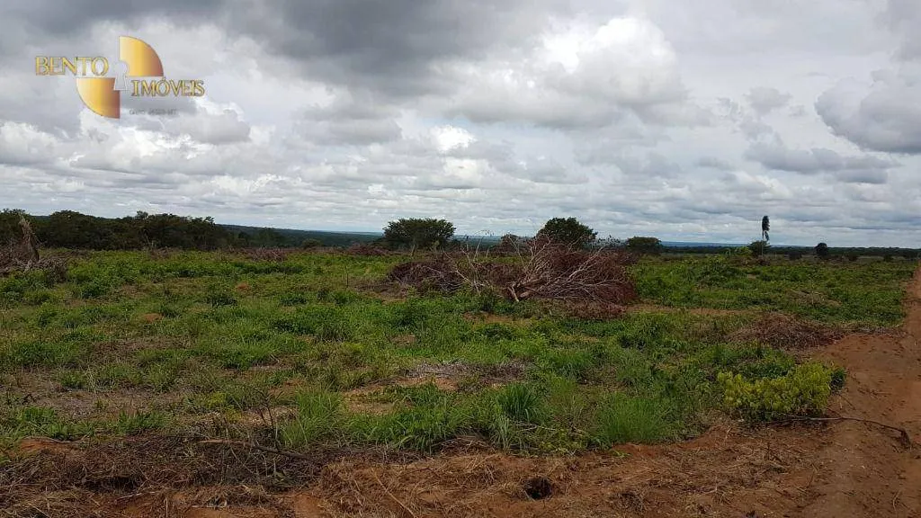 Fazenda à venda de 2.095 ha em Nova Mutum, MT, Brasil