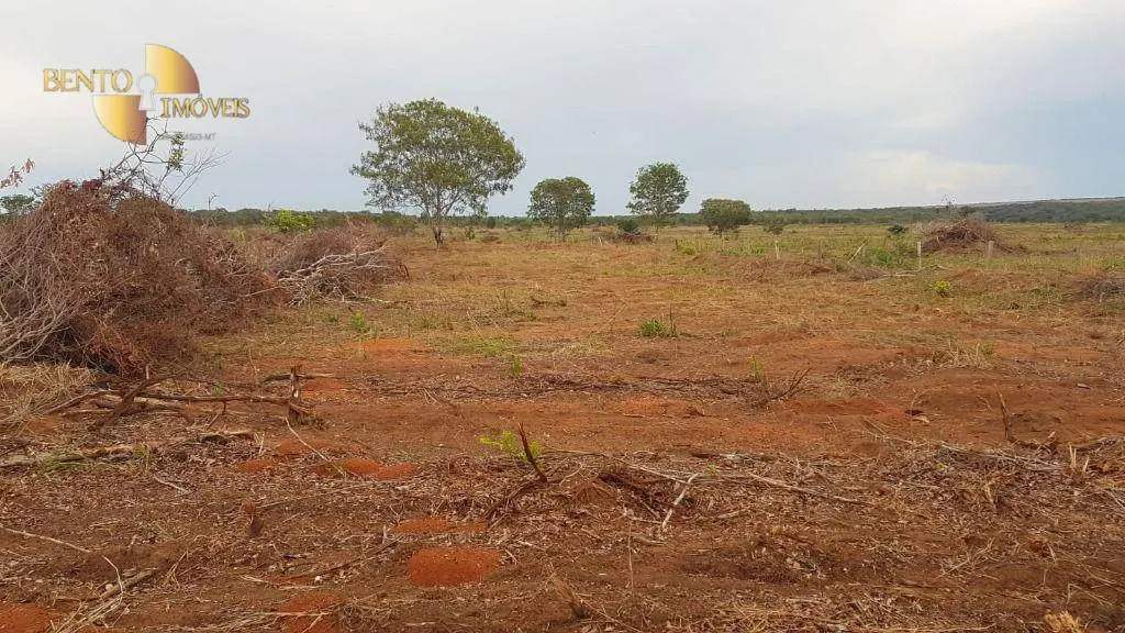 Fazenda à venda de 2.095 ha em Nova Mutum, MT, Brasil