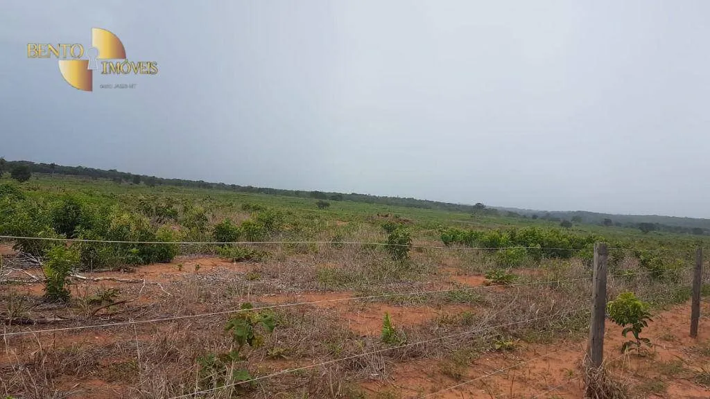 Fazenda à venda de 2.095 ha em Nova Mutum, MT, Brasil