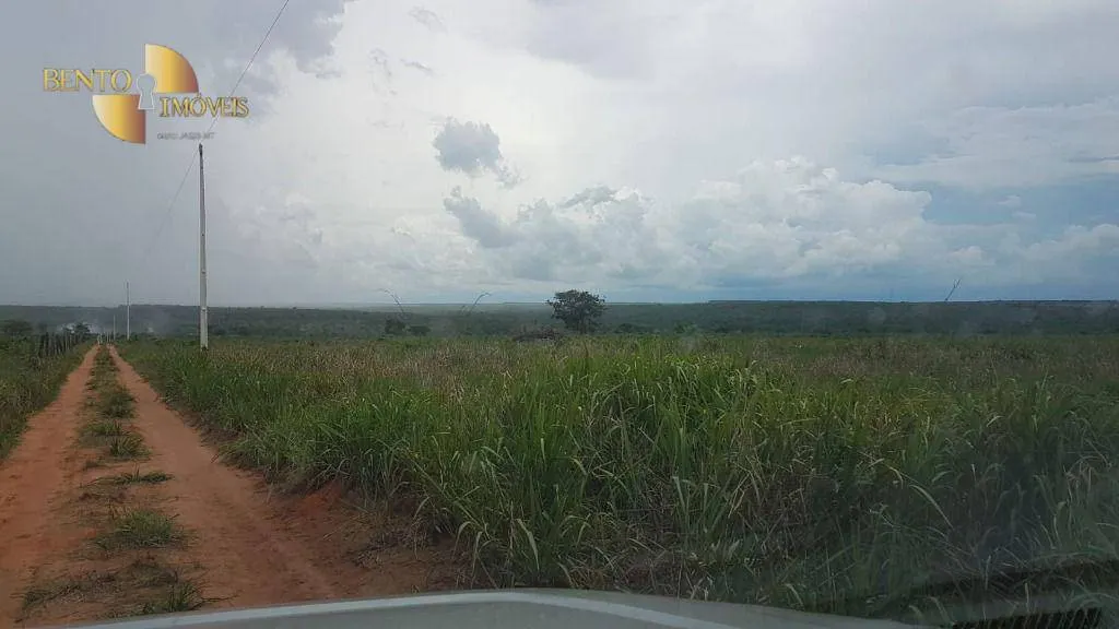 Fazenda à venda de 2.095 ha em Nova Mutum, MT, Brasil