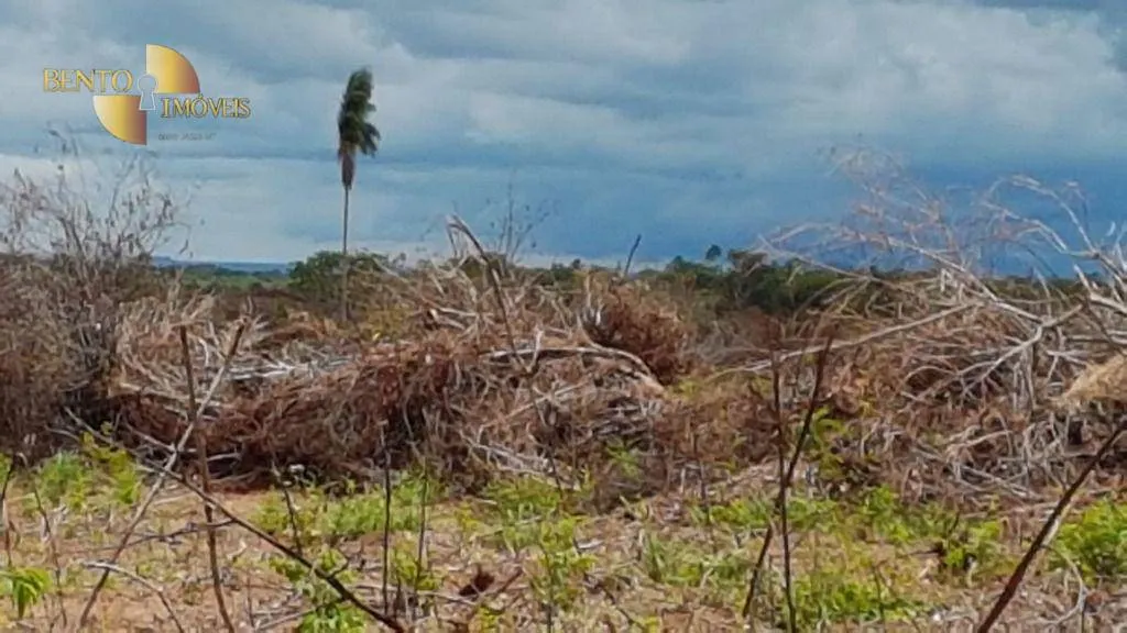 Fazenda à venda de 2.095 ha em Nova Mutum, MT, Brasil