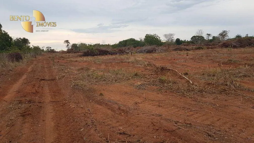 Fazenda à venda de 2.095 ha em Nova Mutum, MT, Brasil