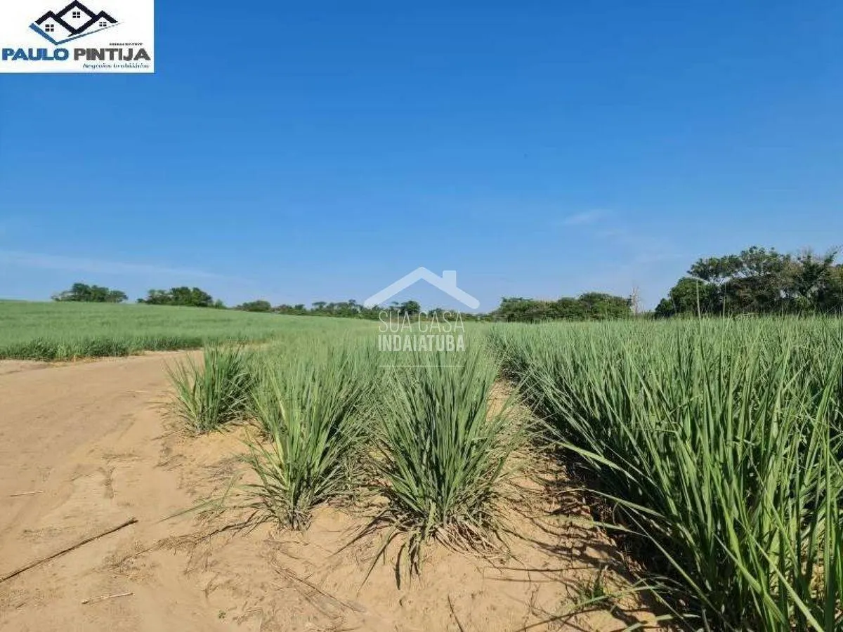 Fazenda à venda de 500 ha em Capivari, SP, Brasil