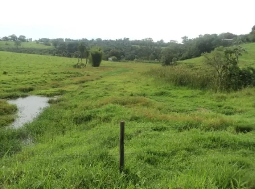Small farm for sale of 109 acres in Boituva, SP, Brazil
