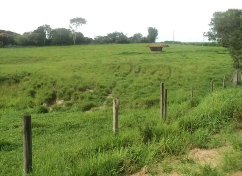 Small farm for sale of 109 acres in Boituva, SP, Brazil