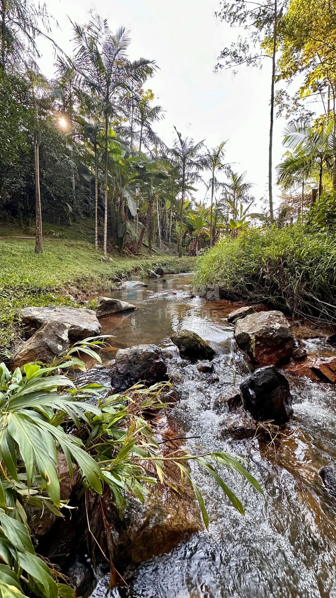 Fazenda à venda de 3.000 m² em Tijucas, SC, Brasil