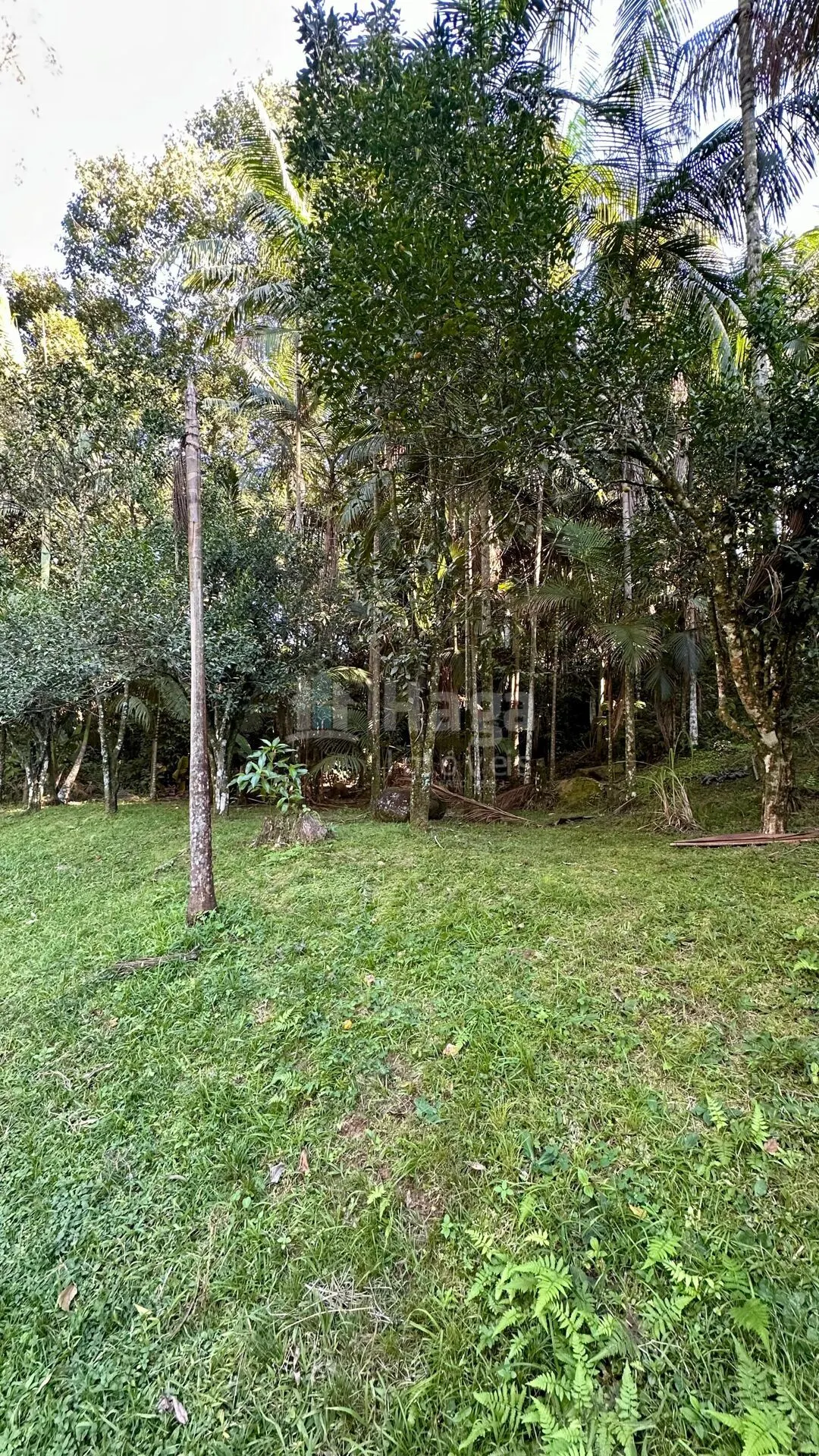 Farm for sale of 3,000 m² in Tijucas, SC, Brazil
