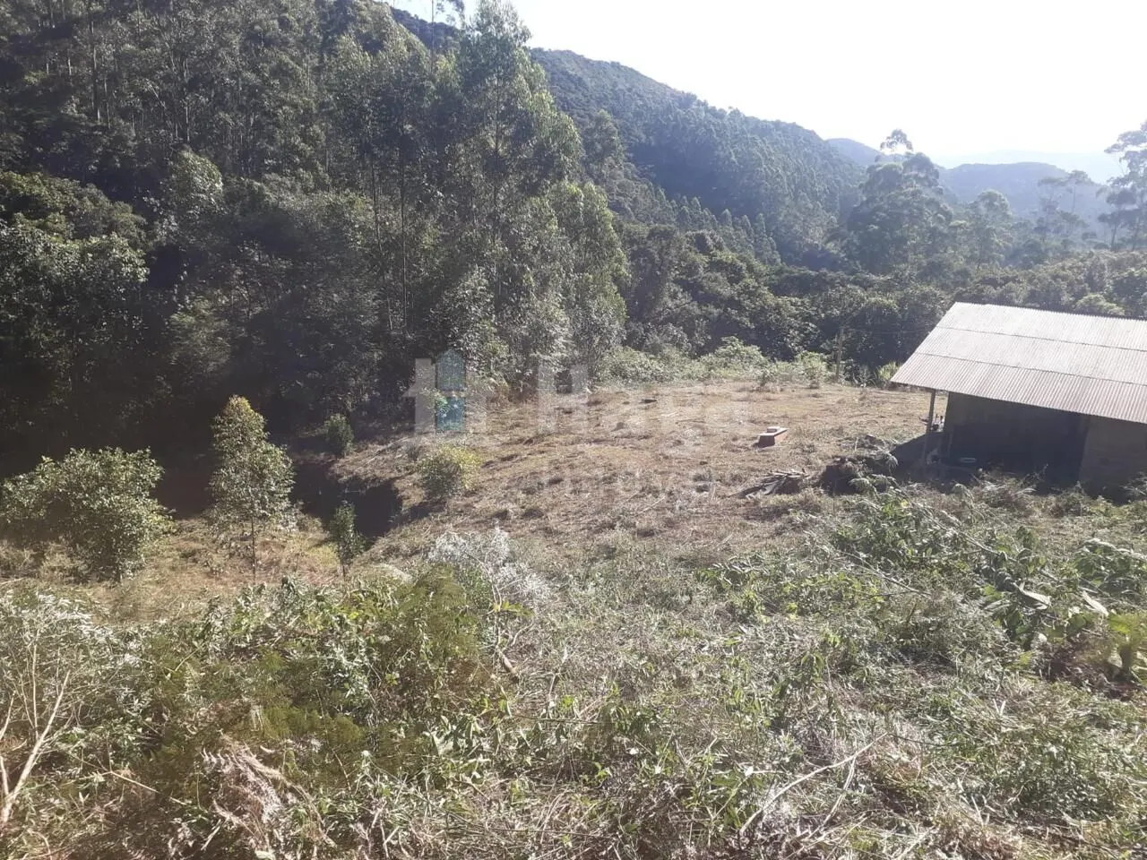 Terreno à venda de 4 ha em Nova Trento, SC, Brasil