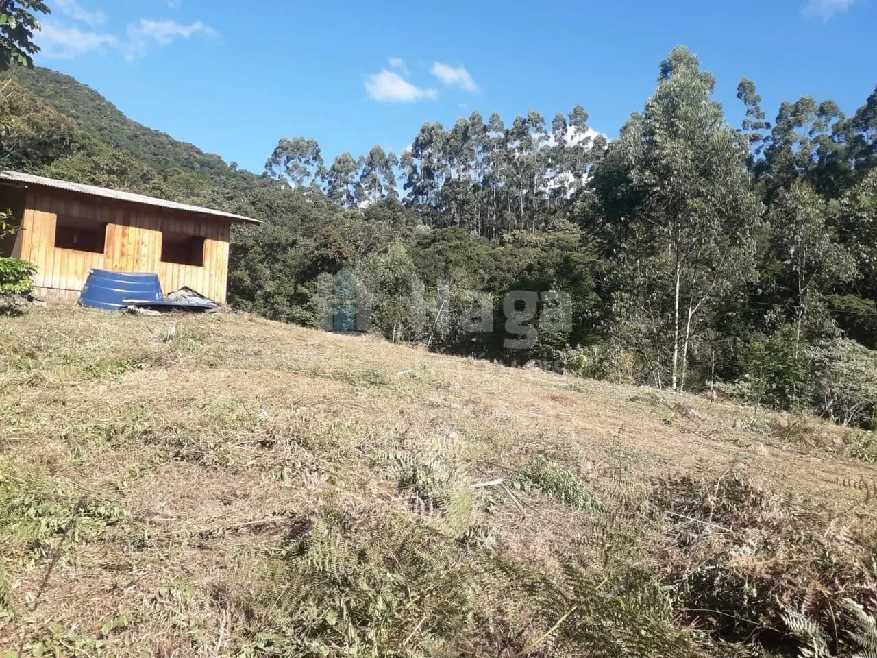 Terreno à venda de 4 ha em Nova Trento, SC, Brasil