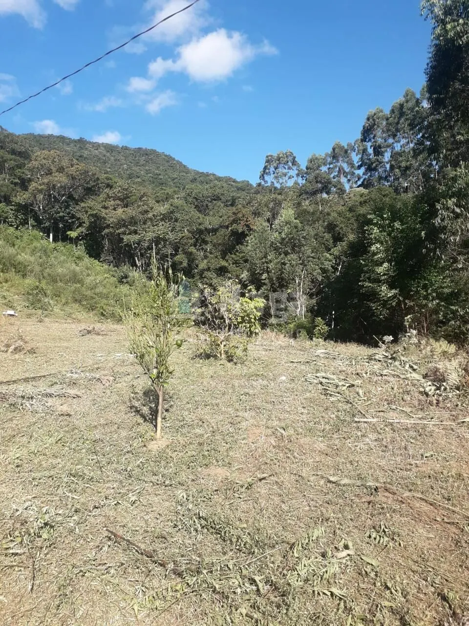 Terreno à venda de 4 ha em Nova Trento, SC, Brasil