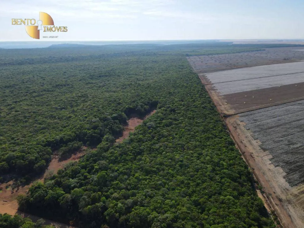 Farm for sale of 14,826 acres in Tabaporã, MT, Brazil