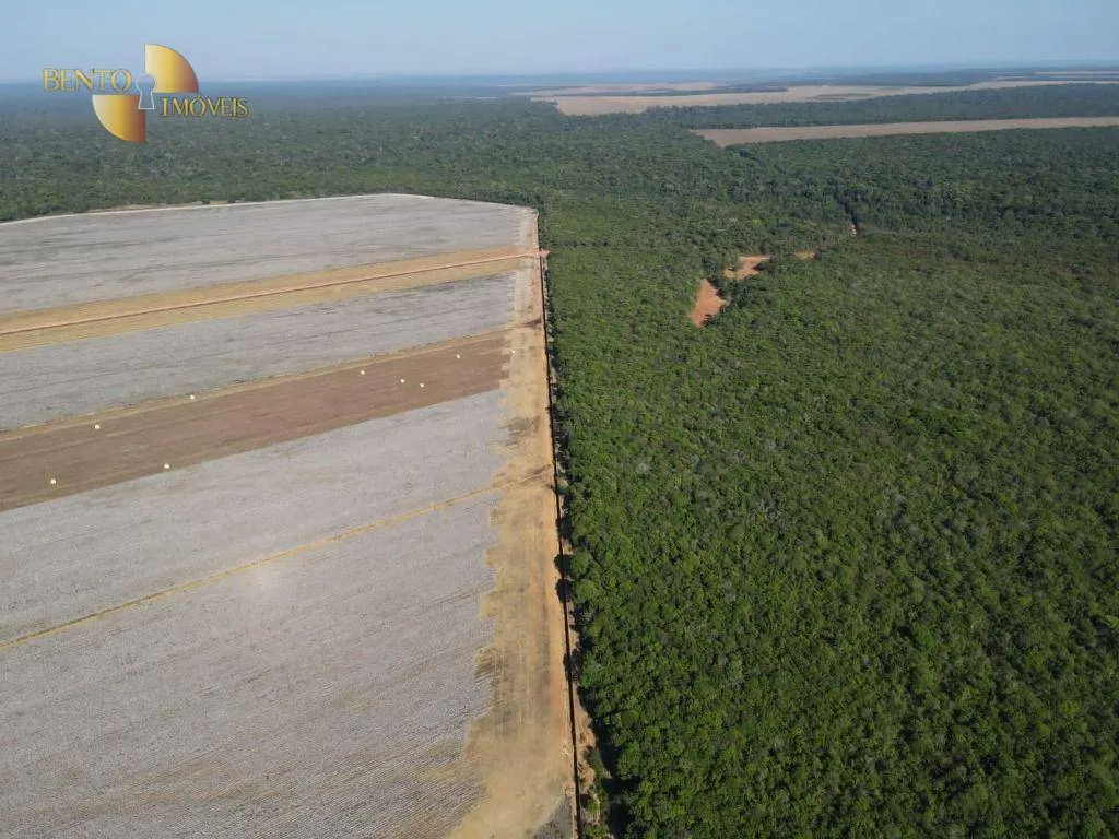 Fazenda à venda de 6.000 ha em Tabaporã, MT, Brasil